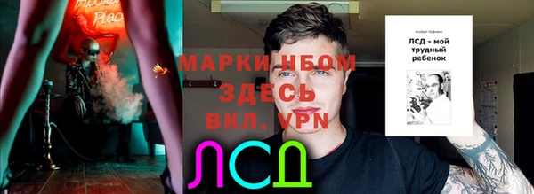 твердый Протвино