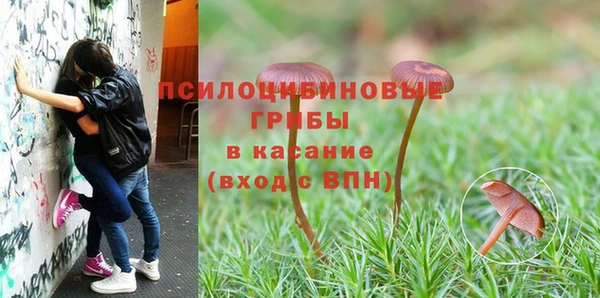 прущие грибы Горнозаводск