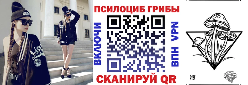 Галлюциногенные грибы Cubensis  Купить  Кувшиново 